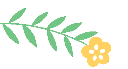 盘龙教育