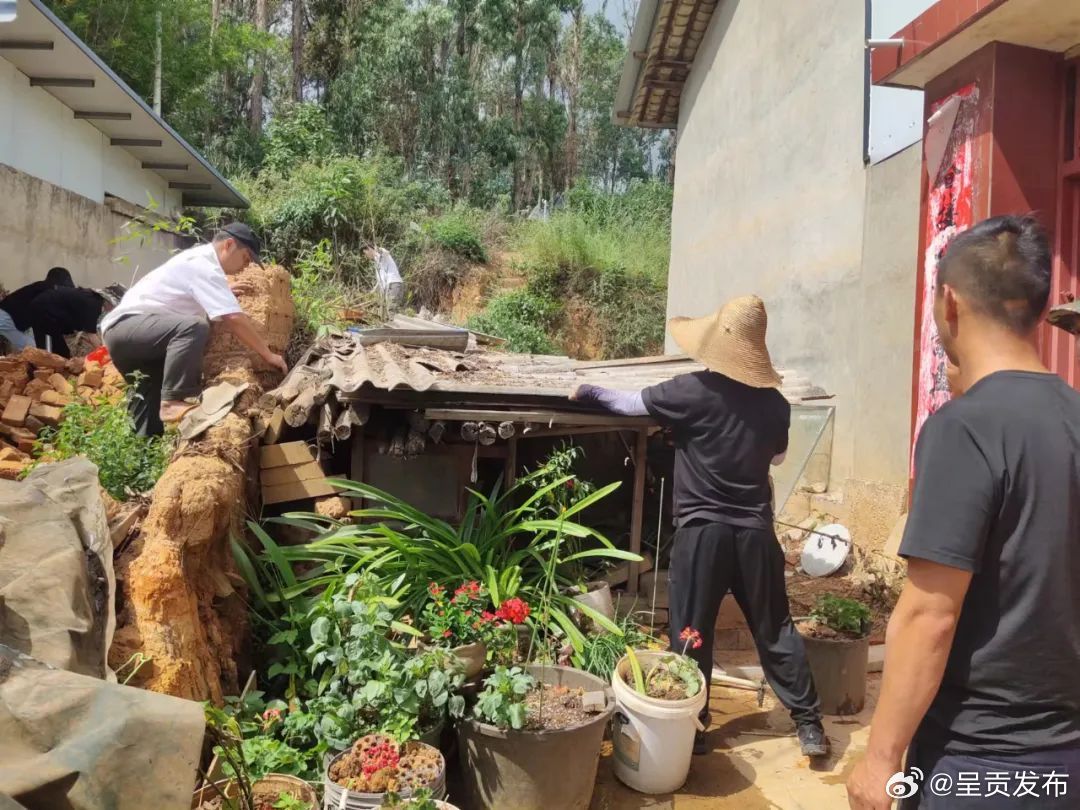 呈贡发布