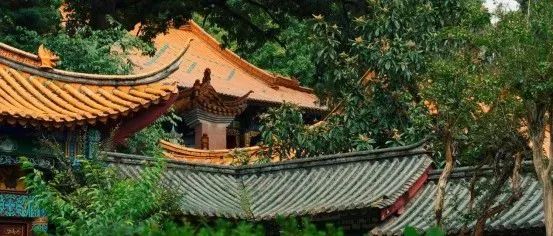 微观盘龙