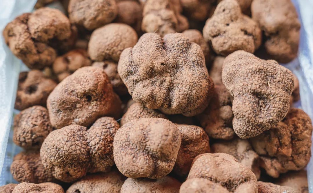 晋宁诗意的栖居地