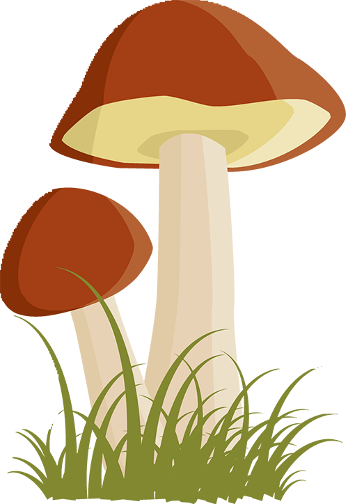 保山新闻网