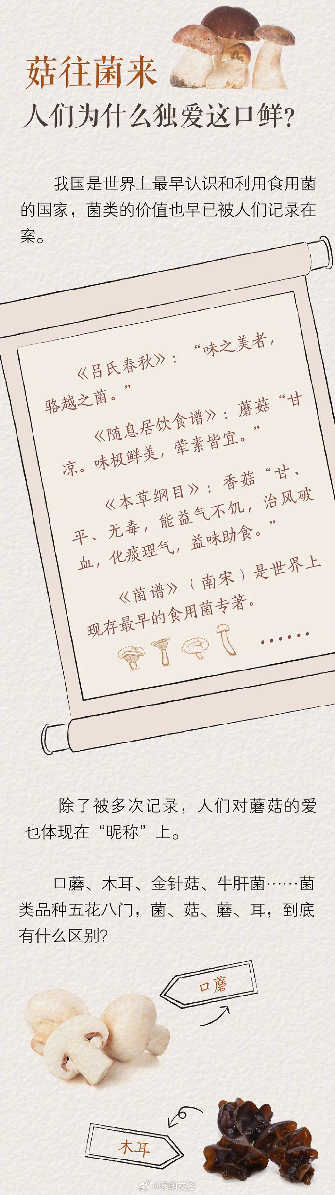 昆明交警