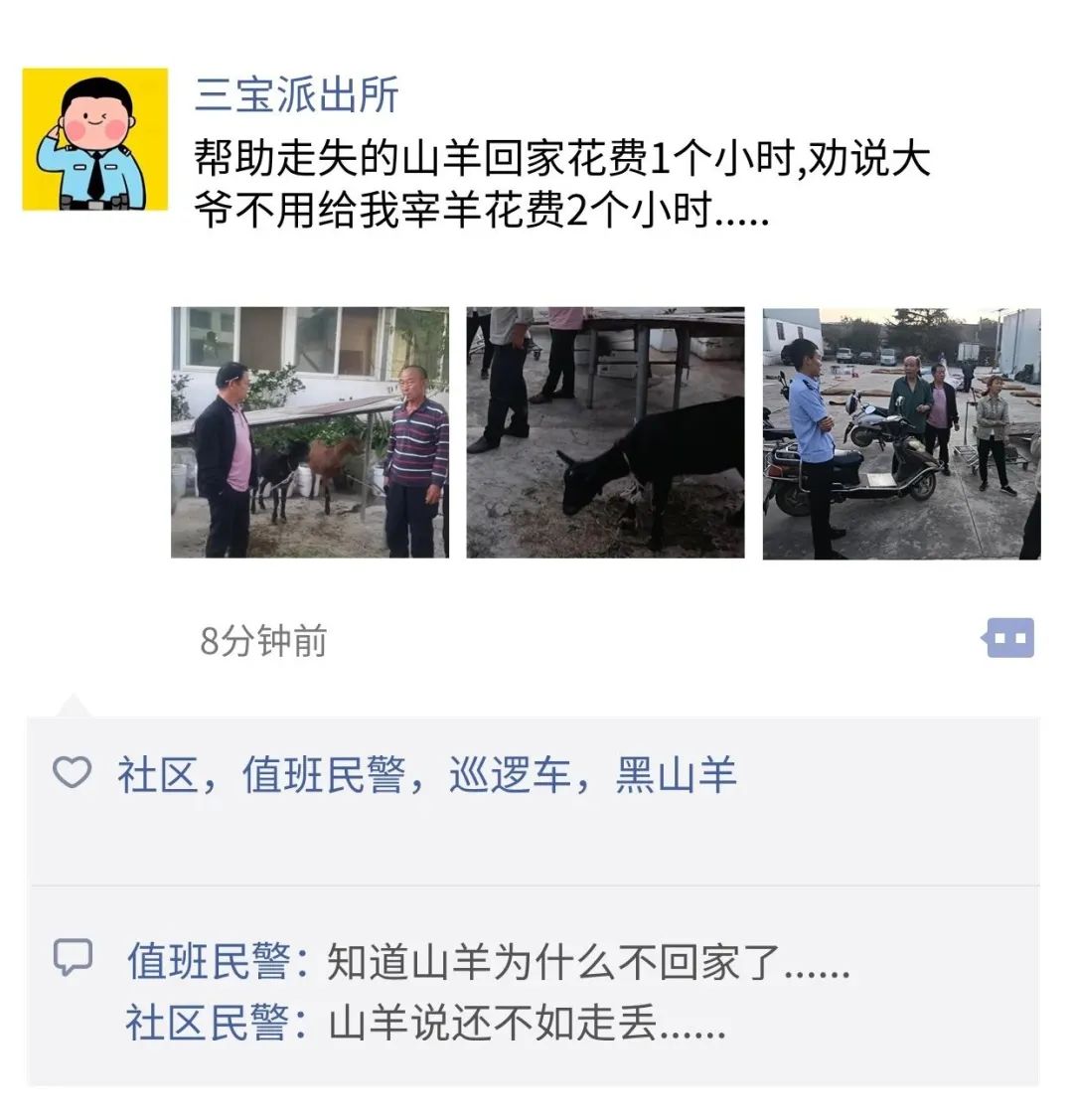 云南政法