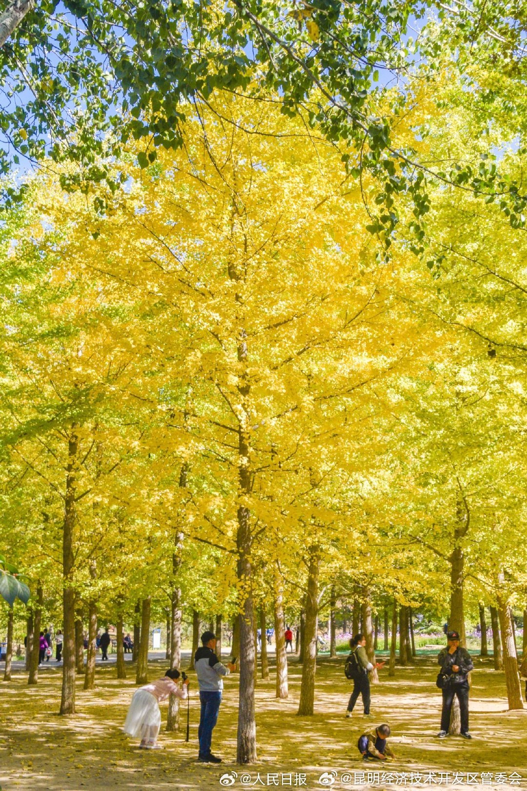 昆明经济技术开发区管委会