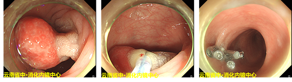 云南省中医医院