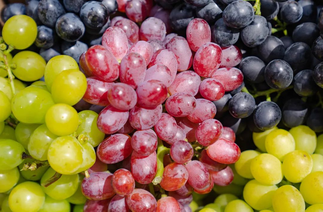 晋宁诗意的栖居地