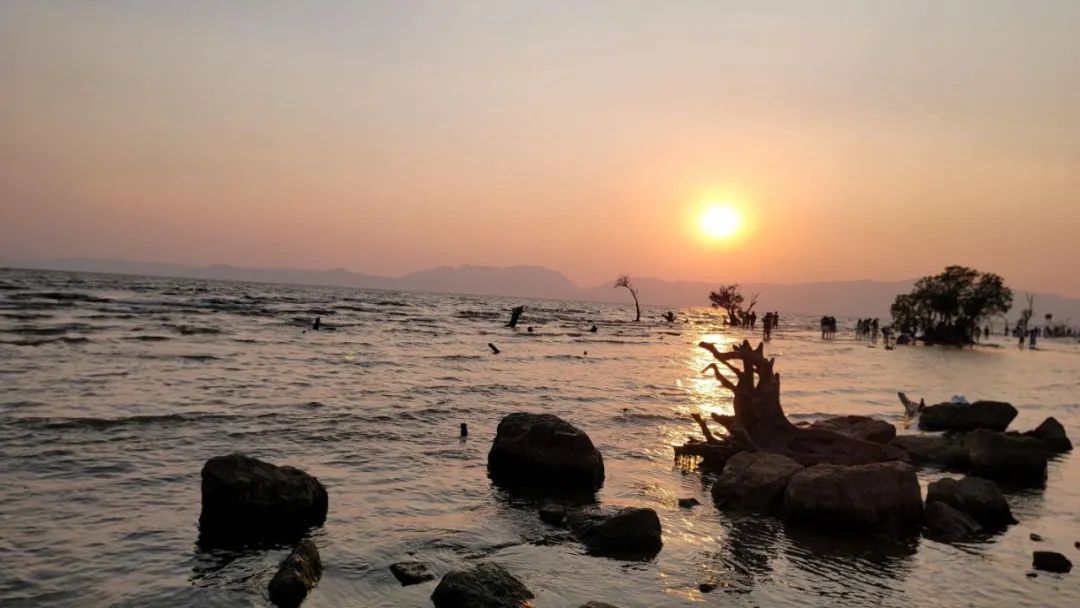 昆明公共文化云