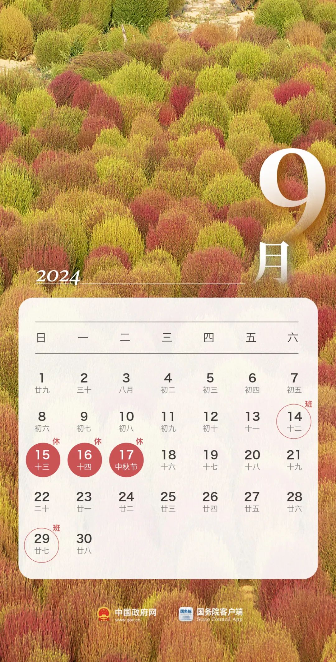 掌上春城微信