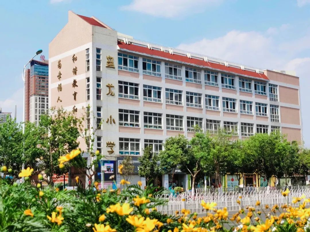 盘龙教育