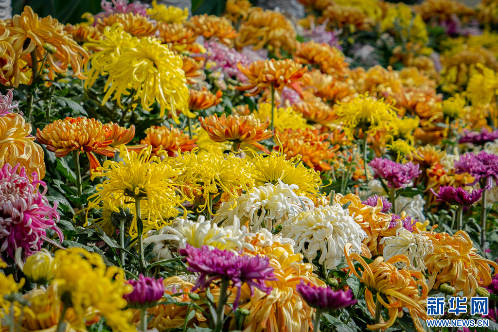 滇池旅游度假区