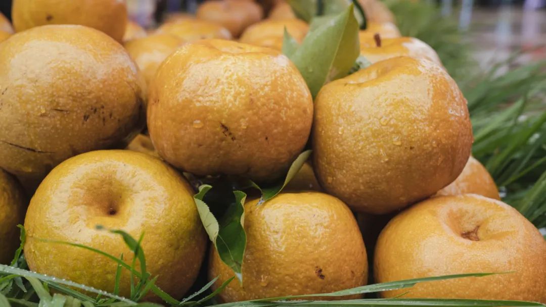 晋宁诗意的栖居地