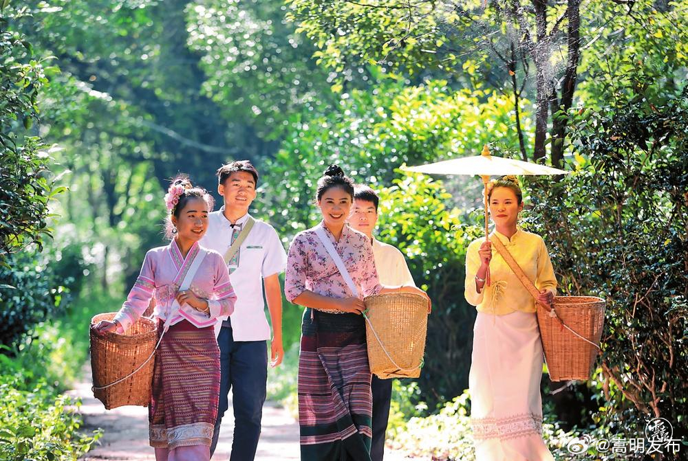 共享“非遗” 山叶传奇丨茶香中国· 茶和天下②