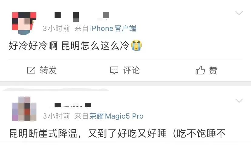 掌上春城微信