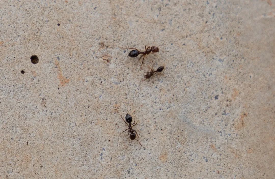 晋宁诗意的栖居地