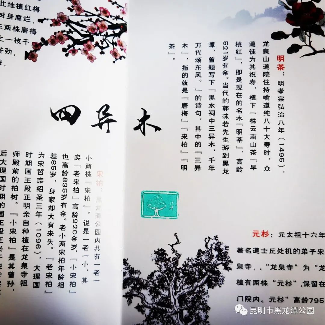 昆明市黑龙潭公园