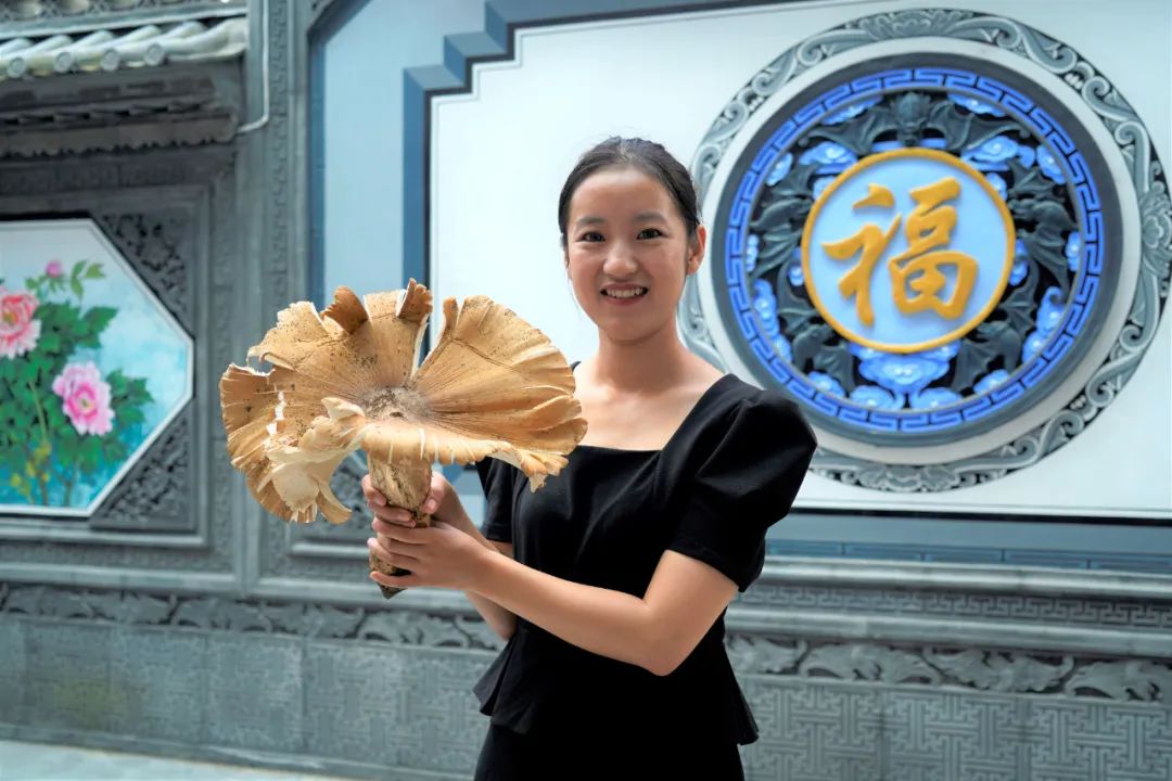 保山新闻网