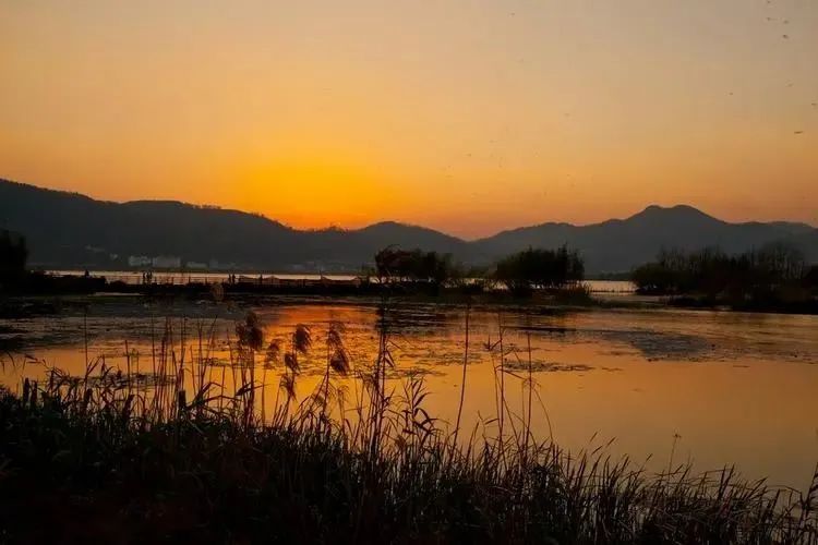 昆明公共文化云