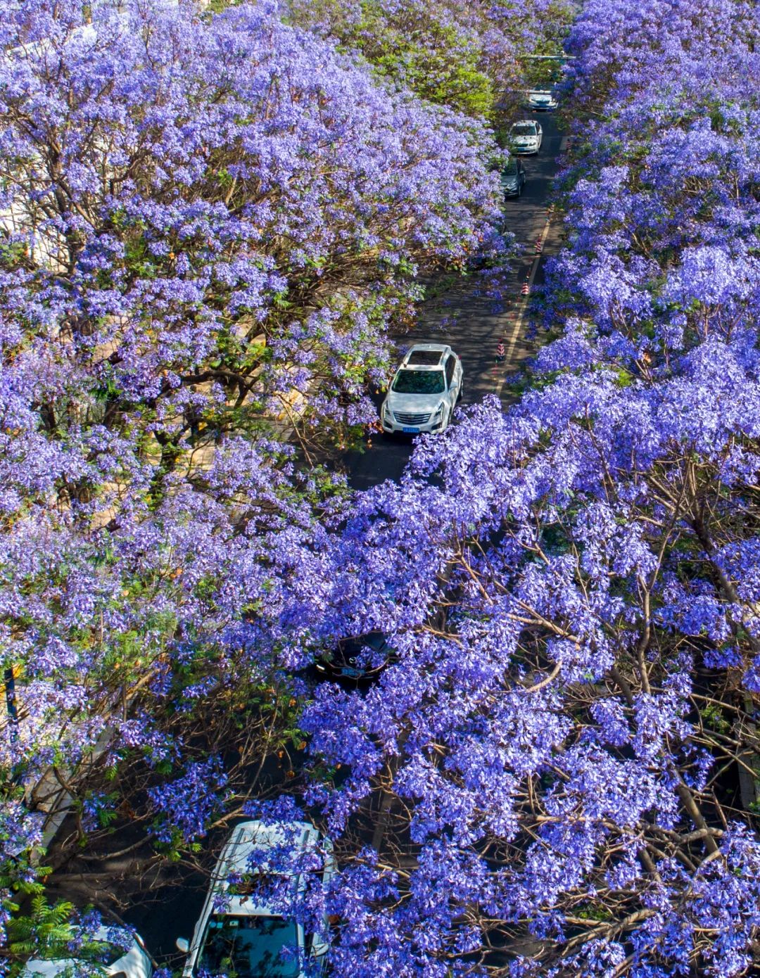 昆明文旅