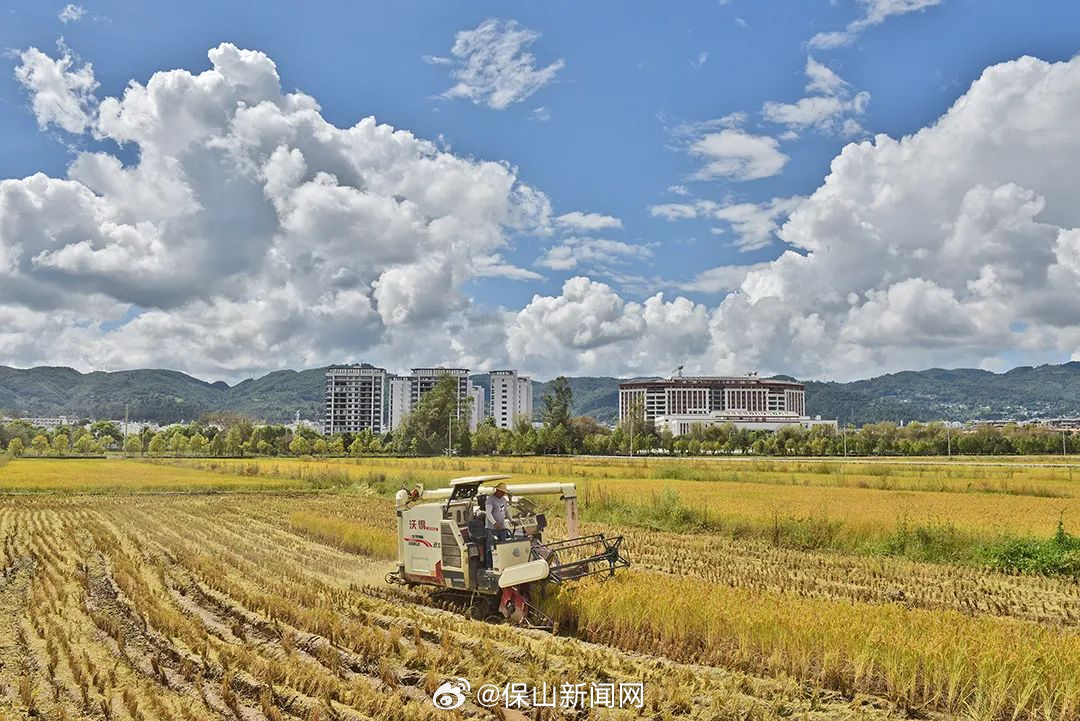 昌宁：“双节”过成“丰收节”