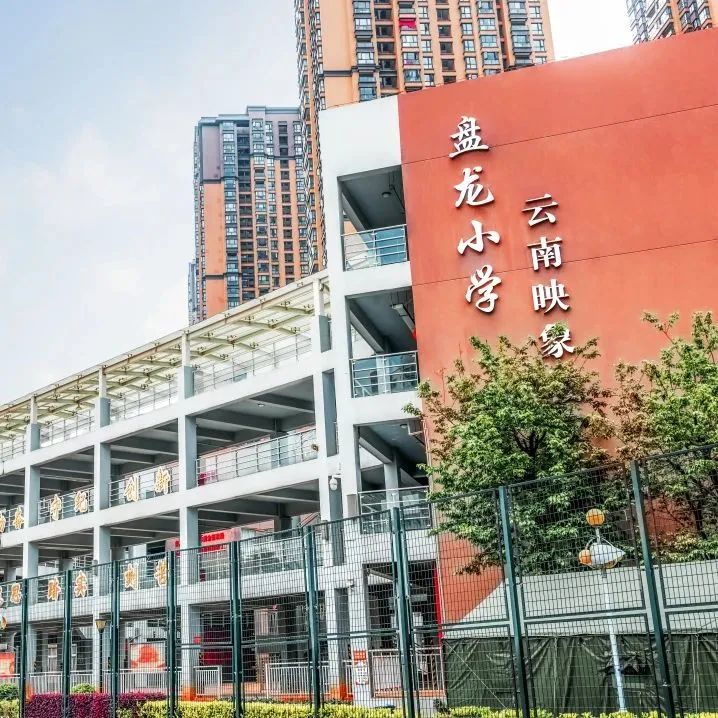 盘龙教育