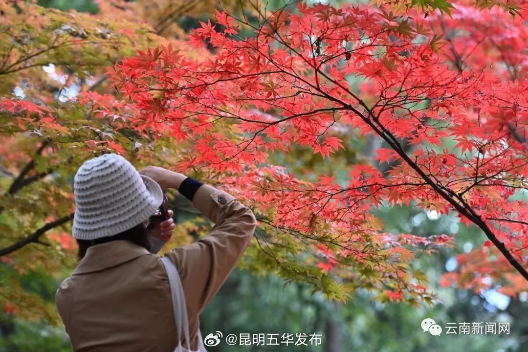 昆明五华发布