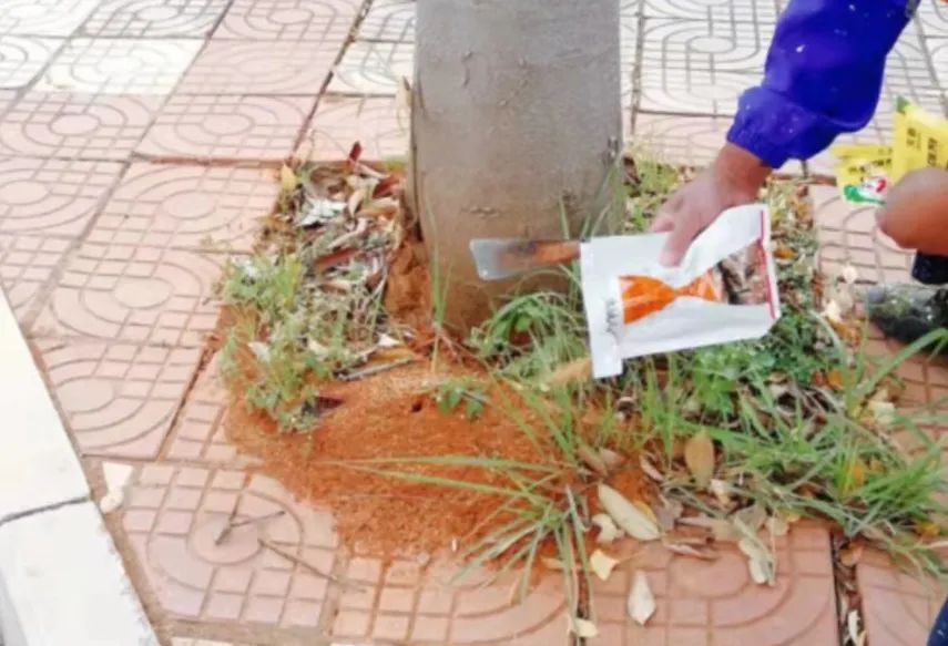 晋宁诗意的栖居地