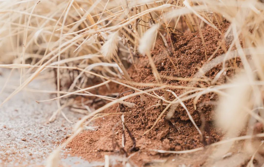 晋宁诗意的栖居地