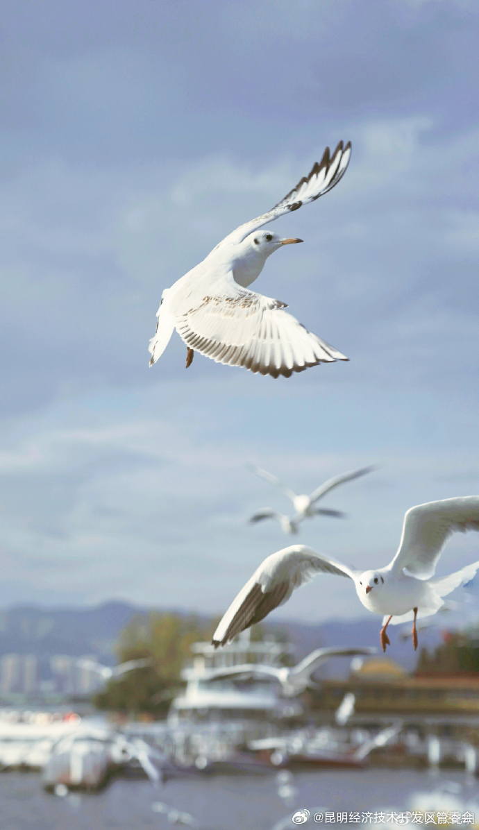 昆明经济技术开发区管委会