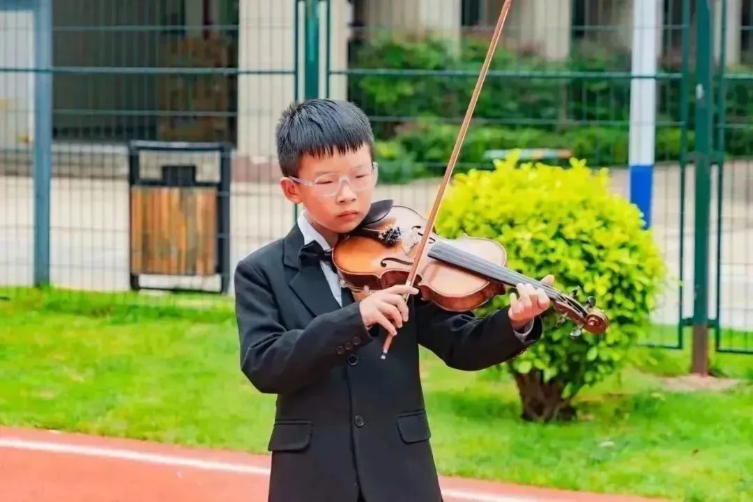 盘龙教育