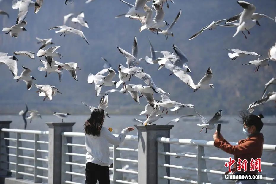 晋宁诗意的栖居地