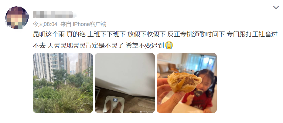 掌上春城微信
