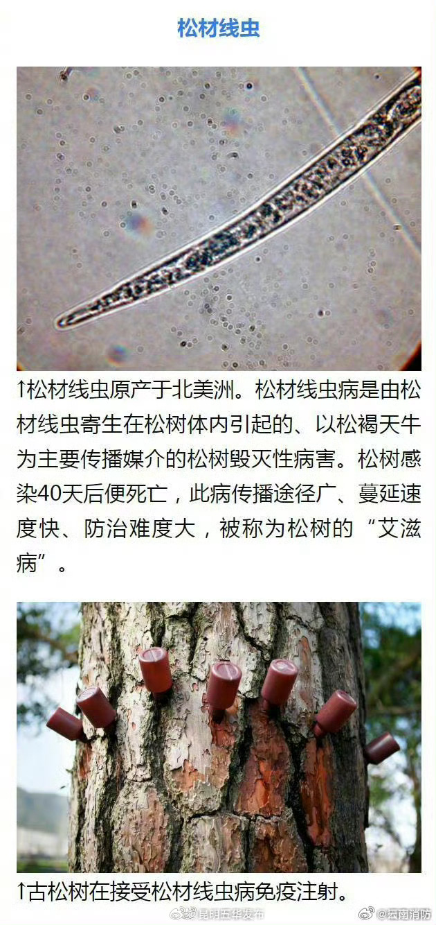 昆明五华发布
