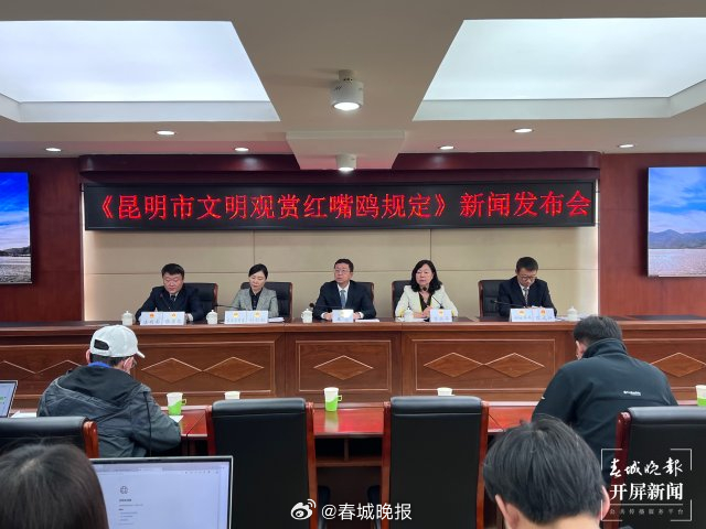 明确观鸥三种禁止行为