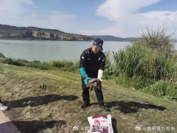 具有攻击性的动物不能随意放生 