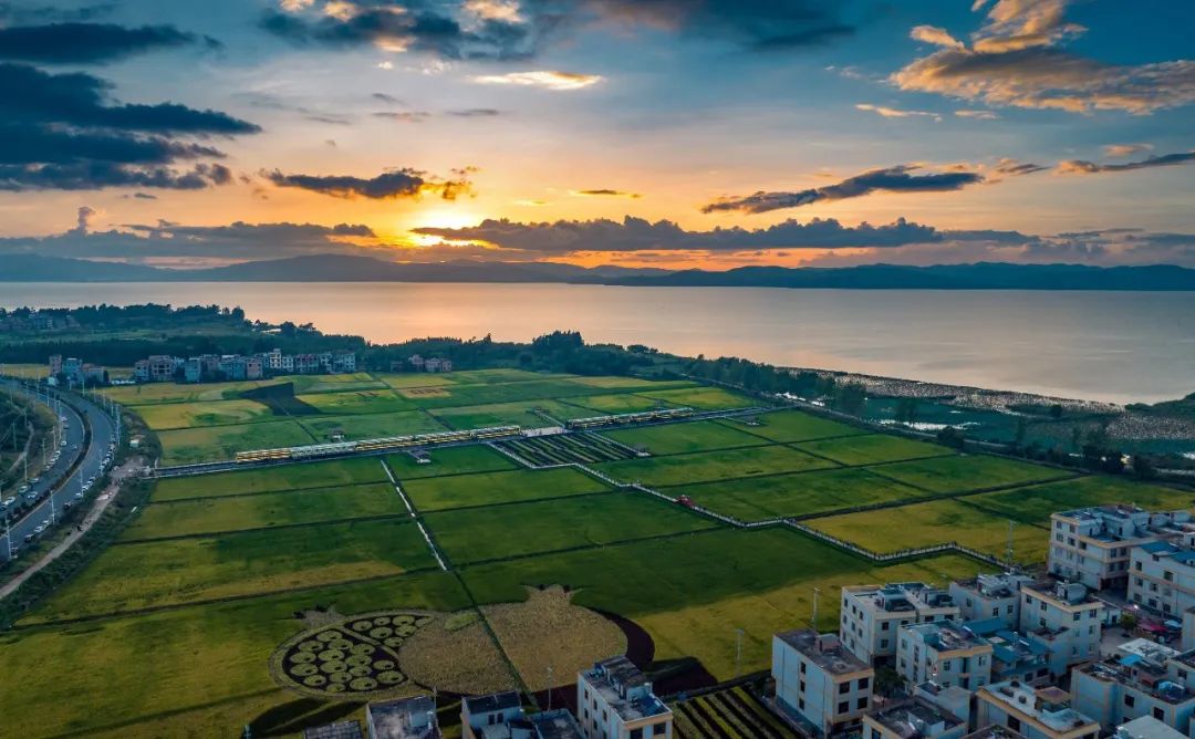 昆明公共文化云