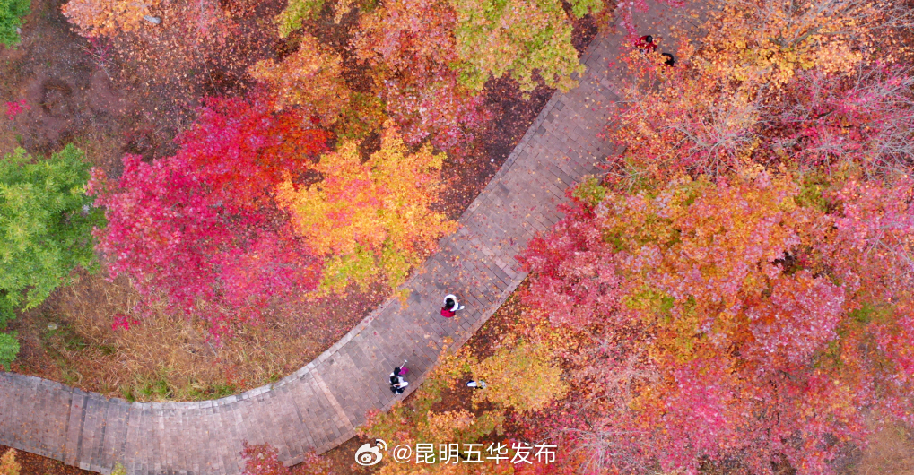 昆明五华发布