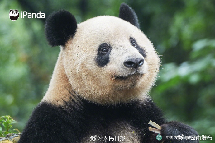 云南发布