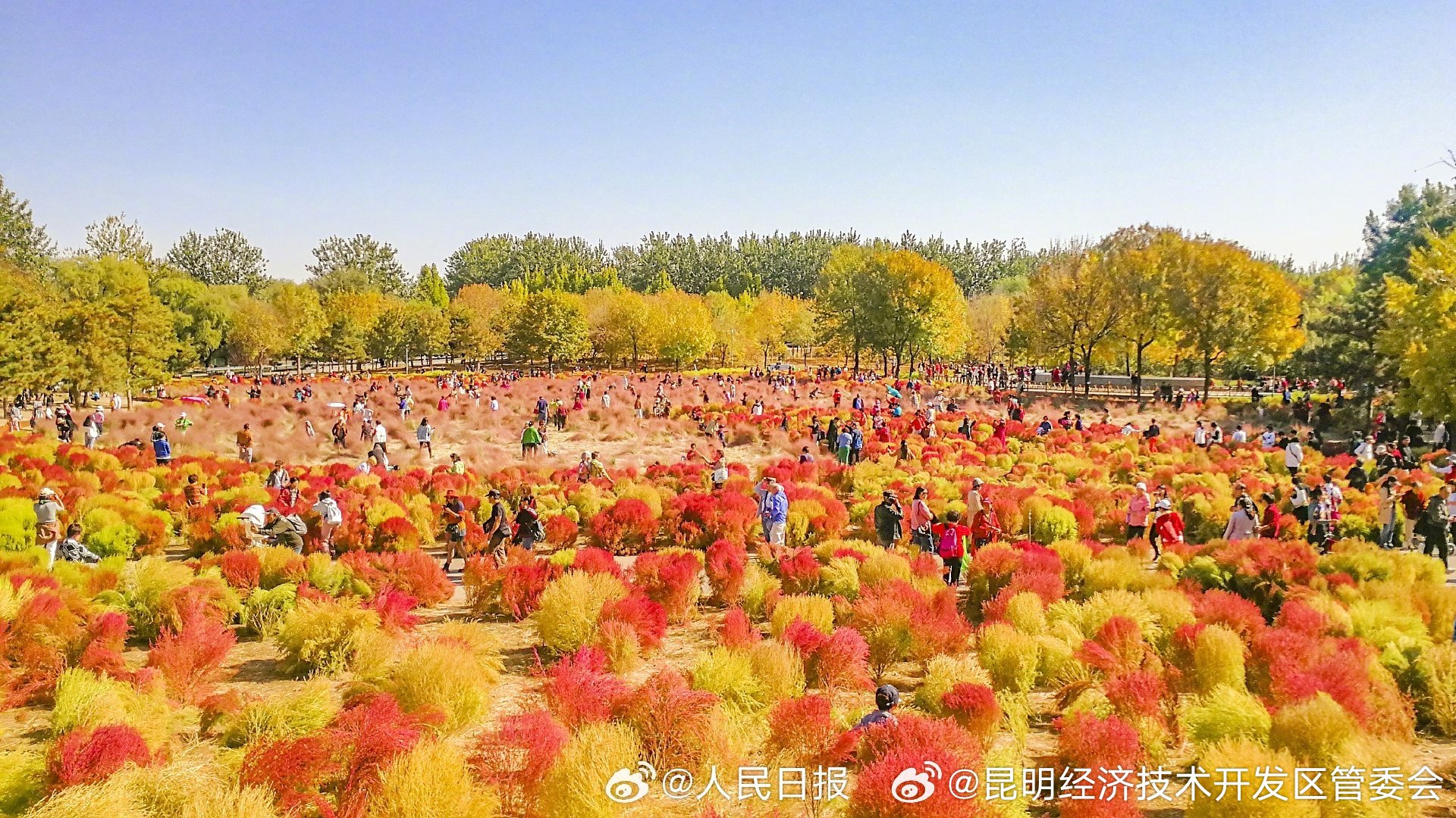 昆明经济技术开发区管委会