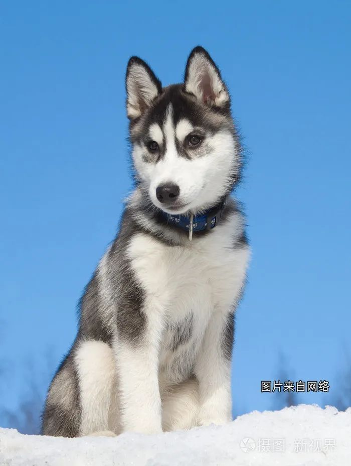 晋宁诗意的栖居地