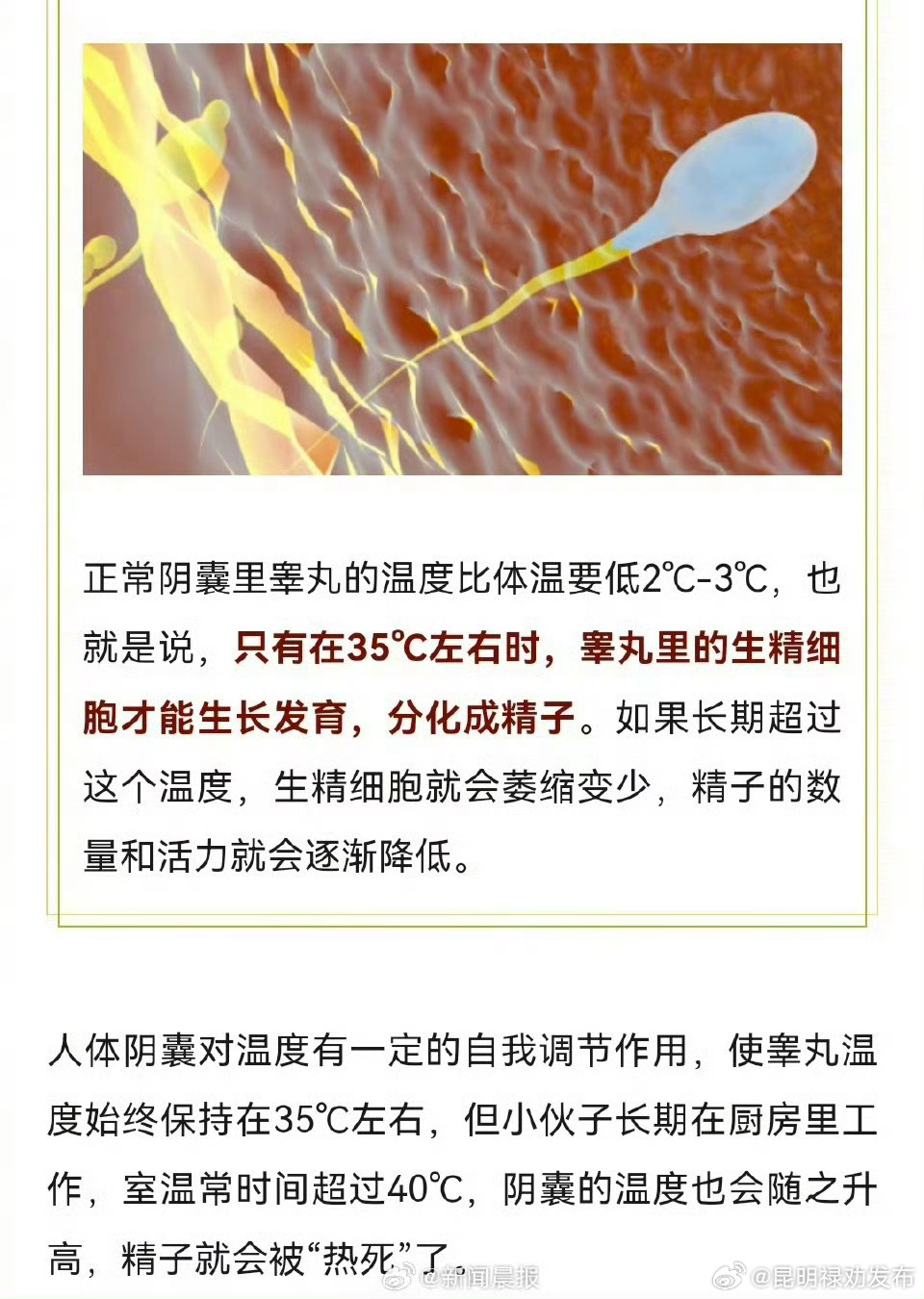 昆明禄劝发布