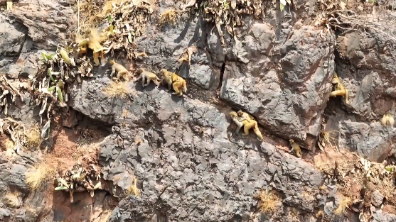 昆明信息港/cnkmxxg