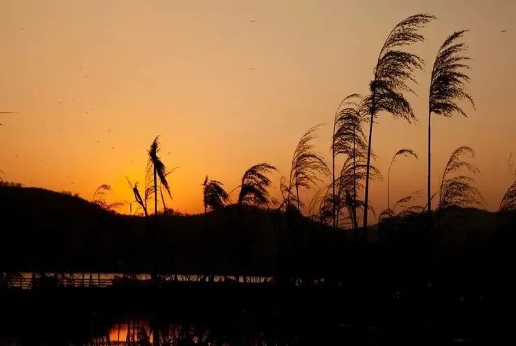 昆明公共文化云