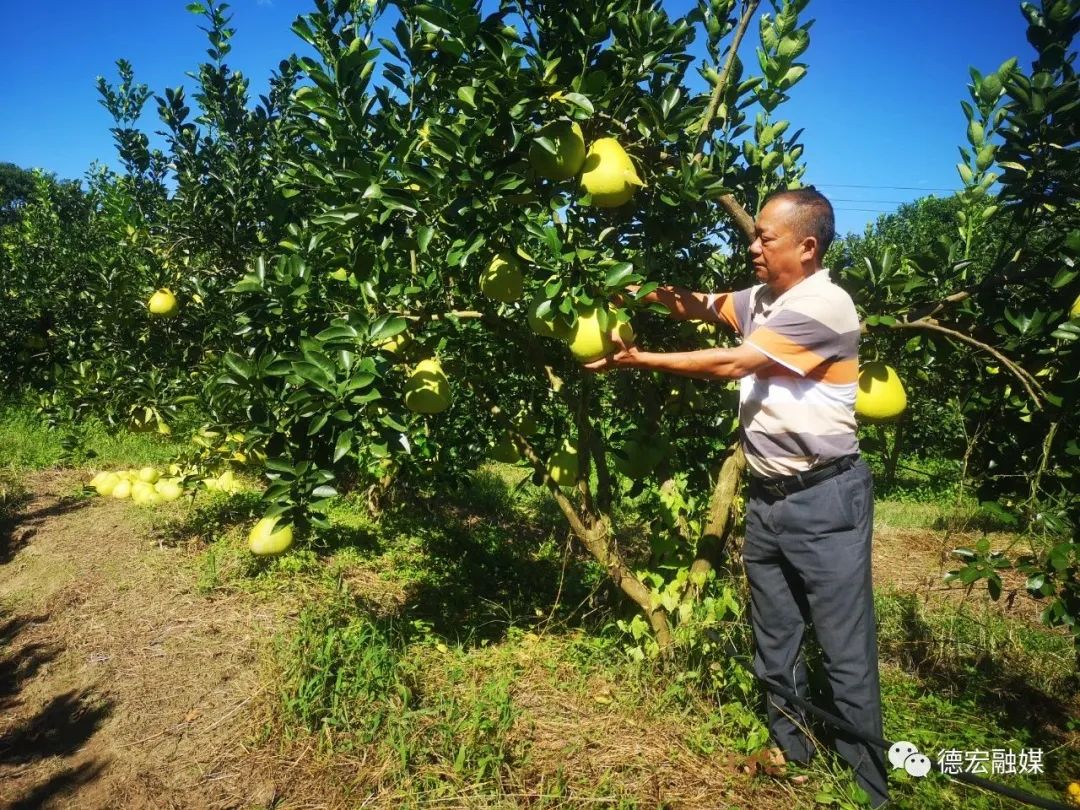 德宏团结报