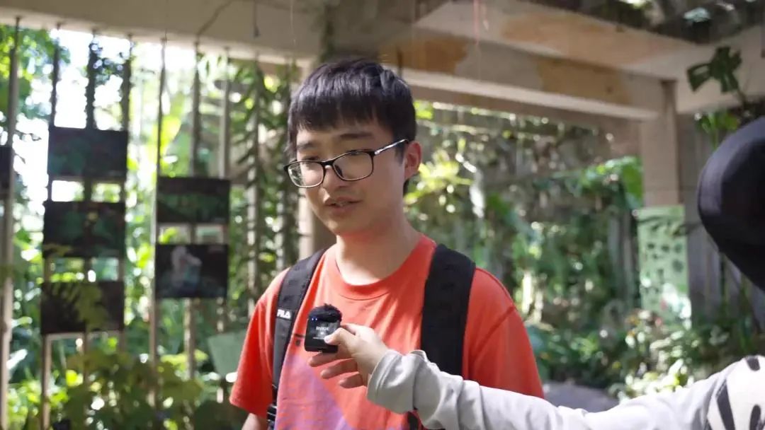 西双版纳先锋