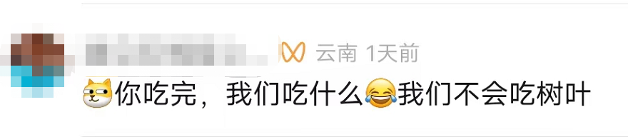 掌上春城微信