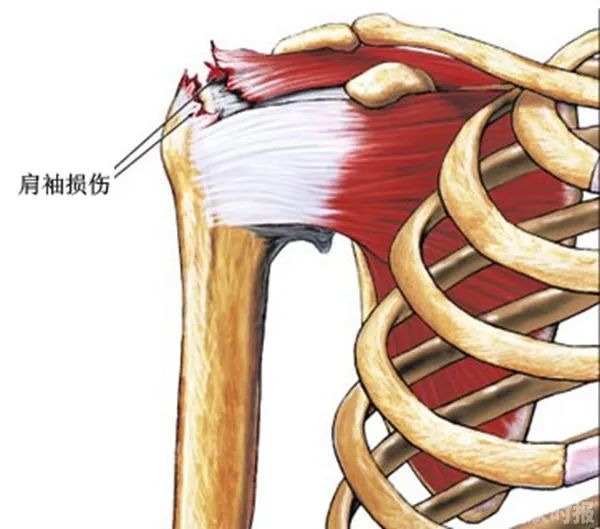 云南省中医医院