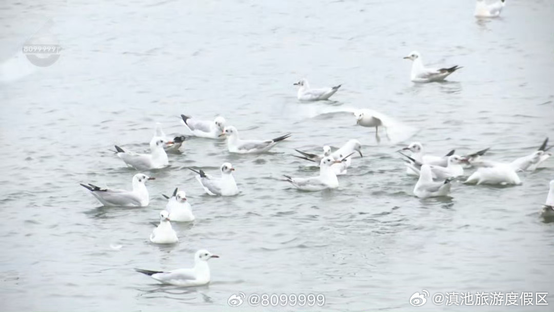 滇池旅游度假区