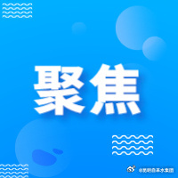 70余只!红嘴鸥先头部队抵达滇池