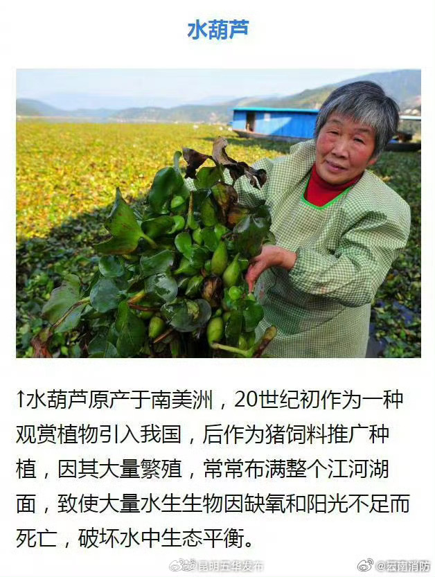 昆明五华发布