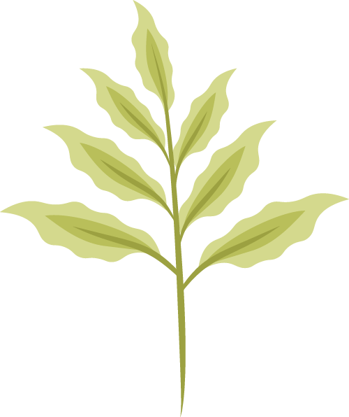 云南省中医医院